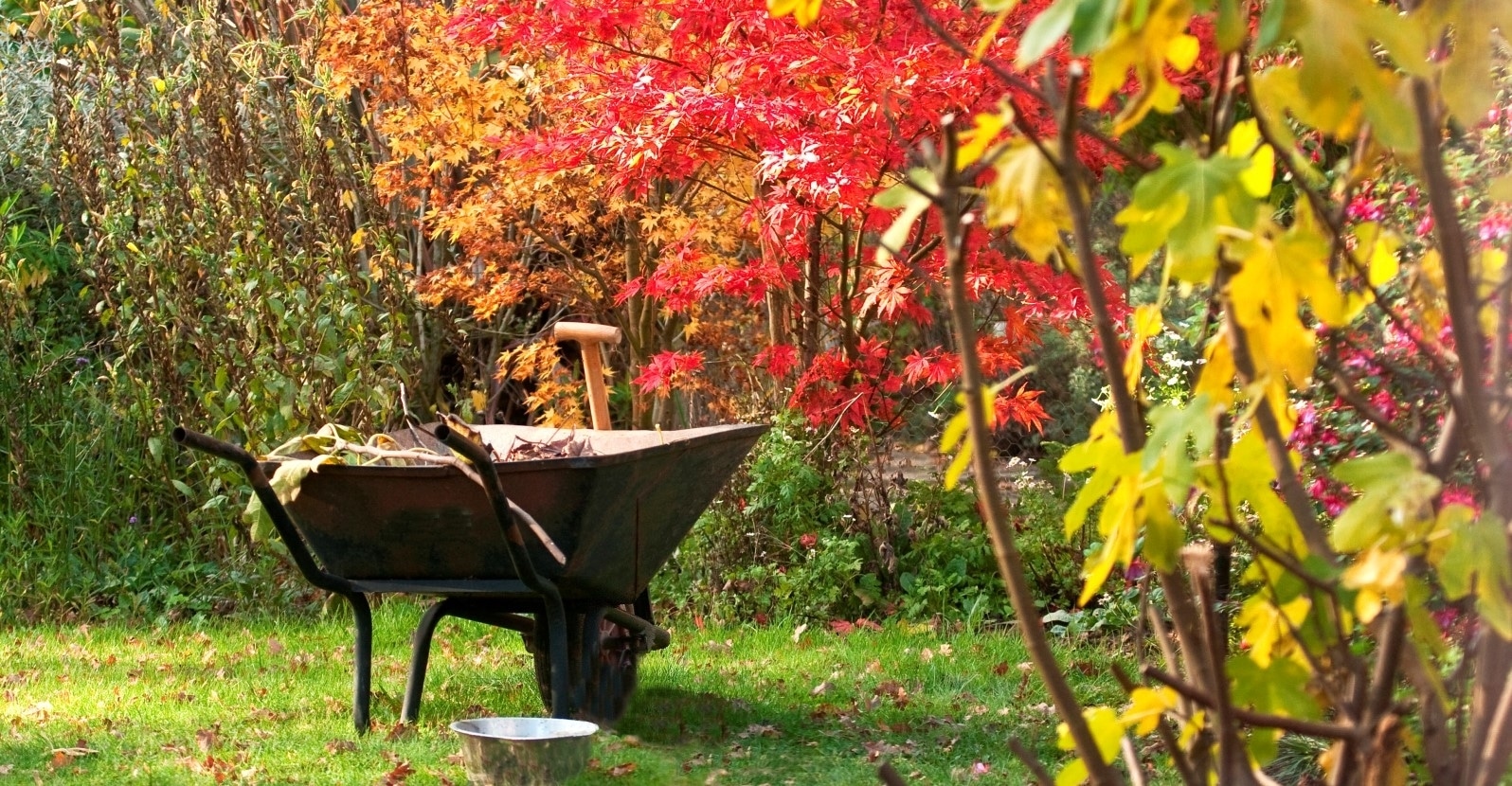 Fall Lawn Care Is Critical To Grass Health